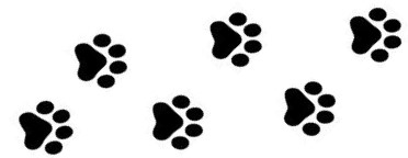 paws 